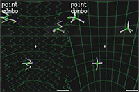 256-2c.png