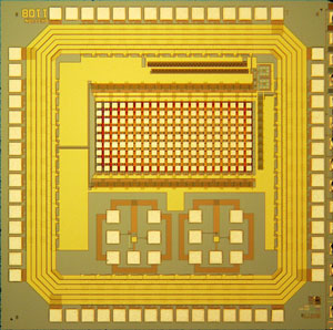 P5120162sn.jpg